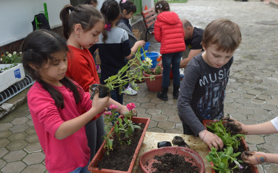 les plantations du printemps