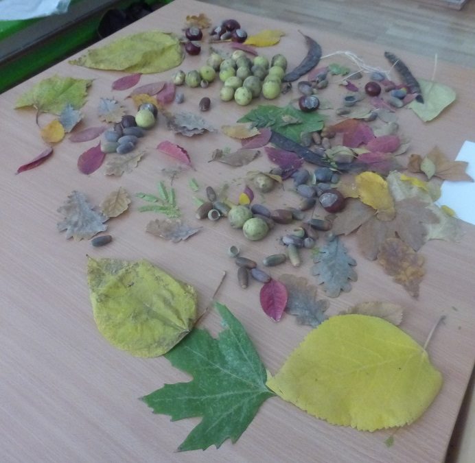 Sortie au jardin botanique