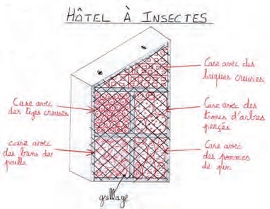 Réalisation de la maquette d’un hôtel à insectes