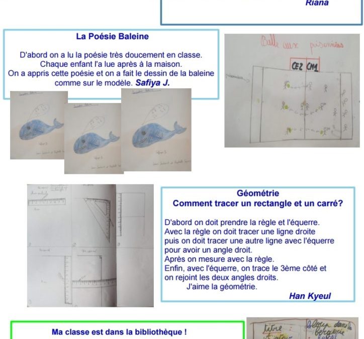 Drôle de CM1 décembre 2020